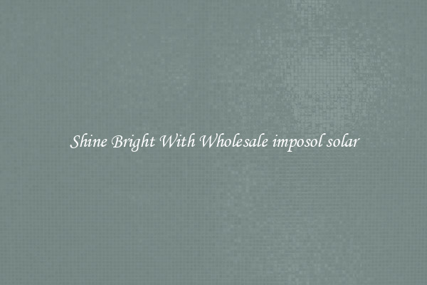 Shine Bright With Wholesale imposol solar