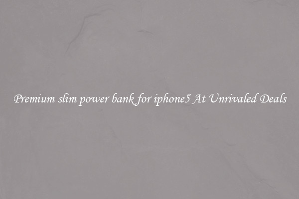 Premium slim power bank for iphone5 At Unrivaled Deals