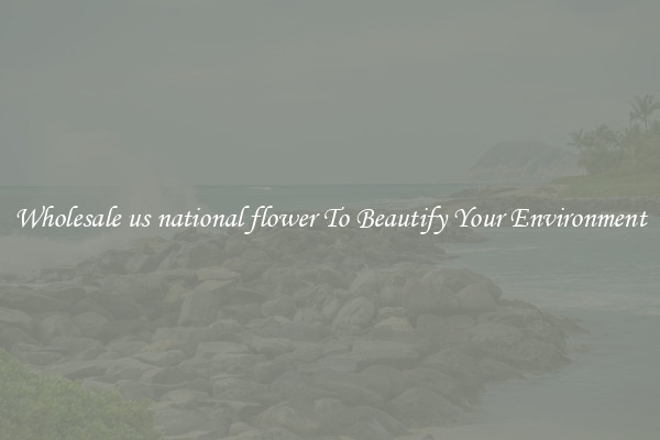 Wholesale us national flower To Beautify Your Environment