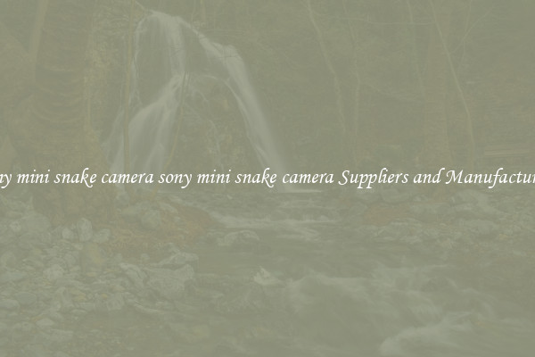 sony mini snake camera sony mini snake camera Suppliers and Manufacturers