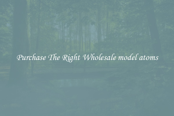 Purchase The Right Wholesale model atoms