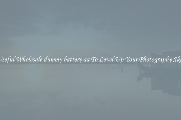 Useful Wholesale dummy battery aa To Level Up Your Photography Skill