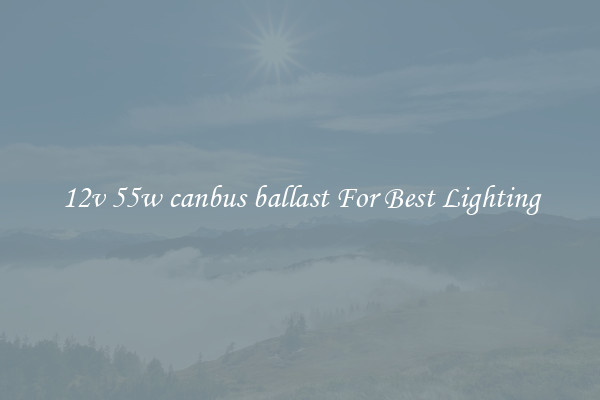 12v 55w canbus ballast For Best Lighting
