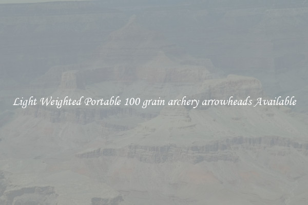 Light Weighted Portable 100 grain archery arrowheads Available