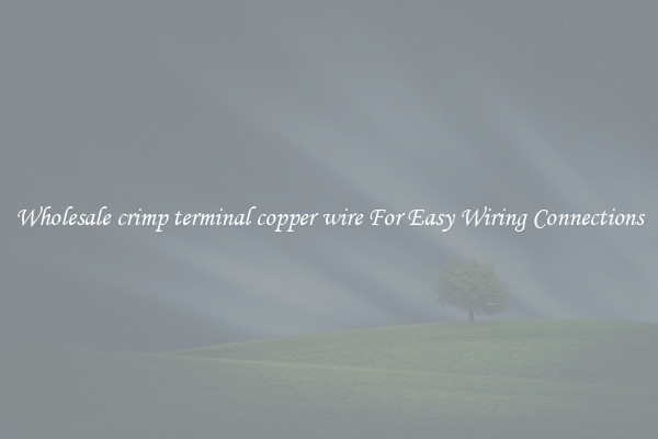 Wholesale crimp terminal copper wire For Easy Wiring Connections