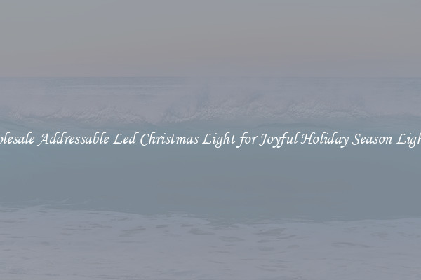 Wholesale Addressable Led Christmas Light for Joyful Holiday Season Lighting