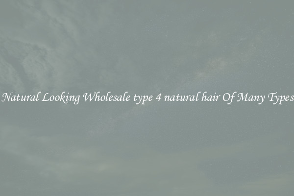 Natural Looking Wholesale type 4 natural hair Of Many Types