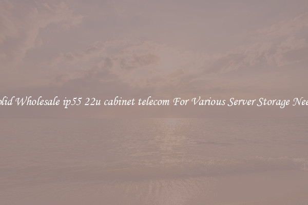 Solid Wholesale ip55 22u cabinet telecom For Various Server Storage Needs