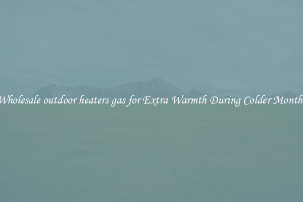 Wholesale outdoor heaters gas for Extra Warmth During Colder Months
